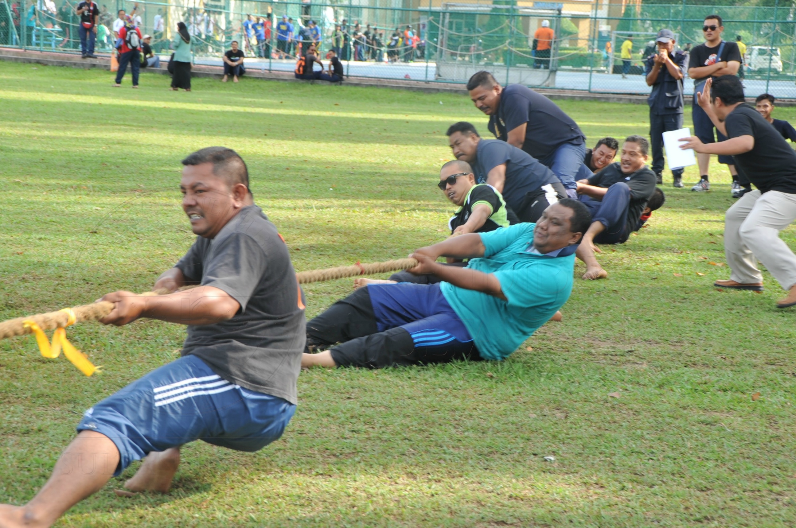 PRO 15 53 KIESTA HAS 5596